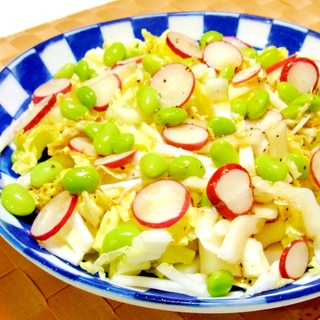 枝豆とラディッシュの白菜サラダ